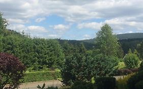 Ferienwohnungen Eulennestchen-Harz S-1&L-2 Familie&Hund Altenau im Oberharz